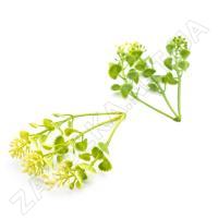 Штучна зелень міні ZEA-0301