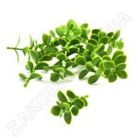 Штучна зелень міні ZEA-0304