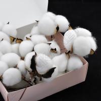 Коробочка бавовни ZEA-0092