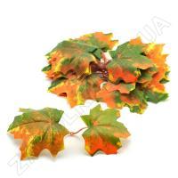  Осіннє листя LIA-0256