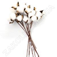 Гілочка бавовни ZEA-0094