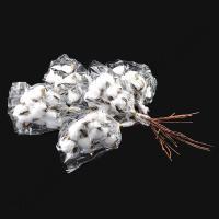 Гілочка бавовни ZEA-0095